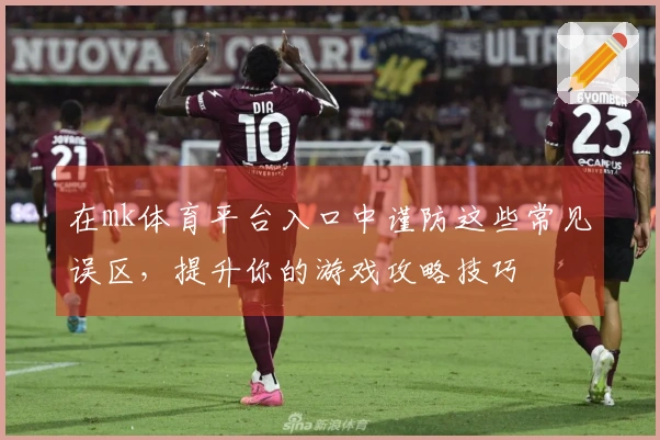 在mk体育平台入口中谨防这些常见误区，提升你的游戏攻略技巧